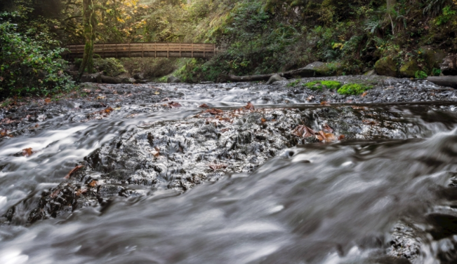 自來(lái)水公司為什么要用水質(zhì)在線監(jiān)測(cè)儀？（自來(lái)水水質(zhì)檢測(cè)設(shè)備）