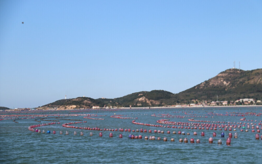 養(yǎng)魚專業(yè)水質(zhì)檢測儀什么品牌好？