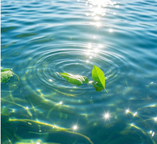 手持水質(zhì)檢測儀可檢測的項目（萊恩德手持水質(zhì)檢測儀的優(yōu)點）