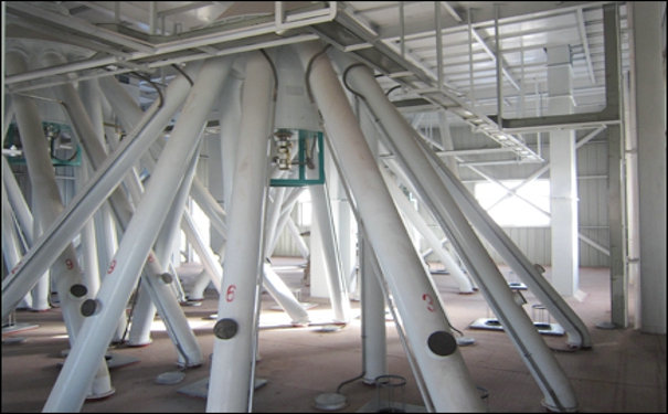 飼料成套生產設備多少錢?其又如何實現更好的發展呢?