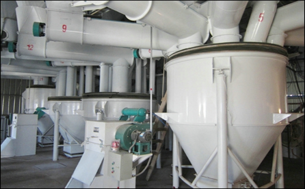 飼料機械設備為養殖業的發展注入更強大的動力
